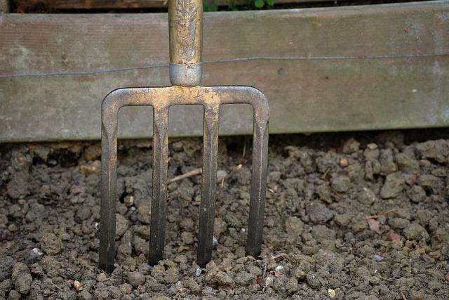 Garden Fork
