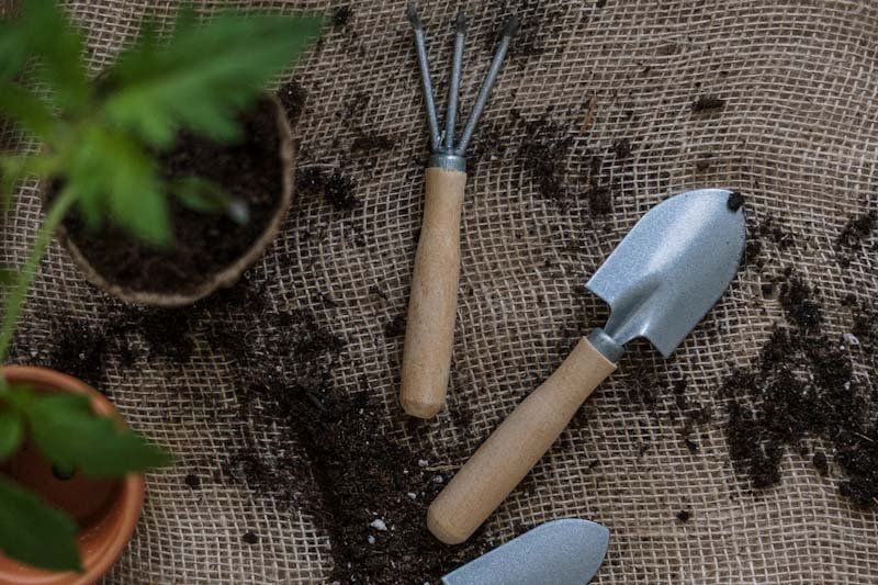 Hand Trowel