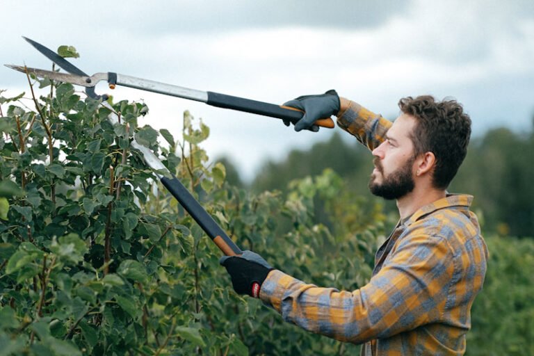 Loppers - pruners with long handles