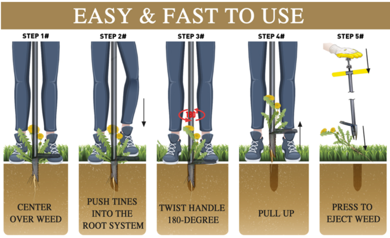 Stand Up Weed Puller with a long handle