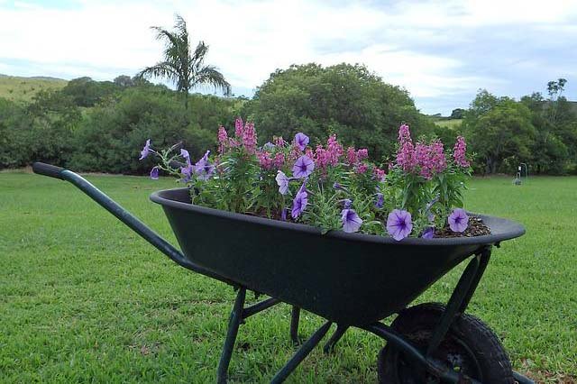 wheel barrow